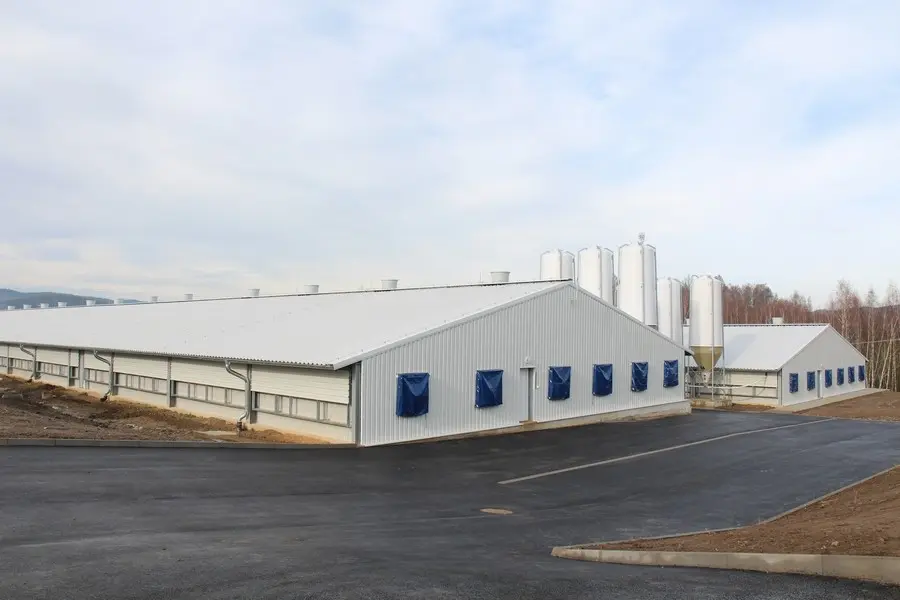 Steel Structure Poultry Feed Mill Plant
