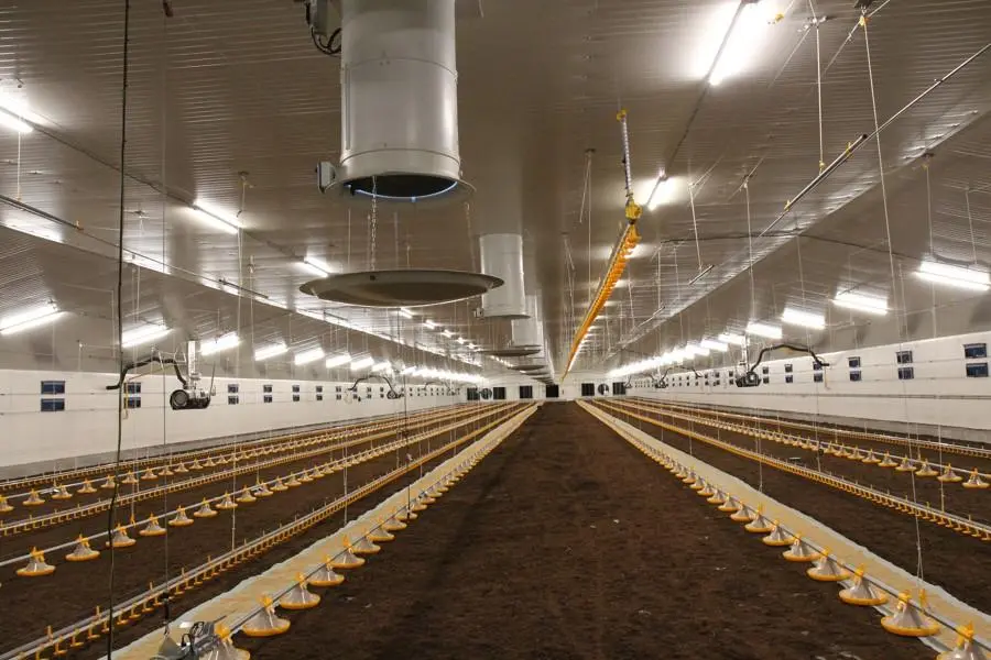 Steel Structure Poultry Feed Mill Plant