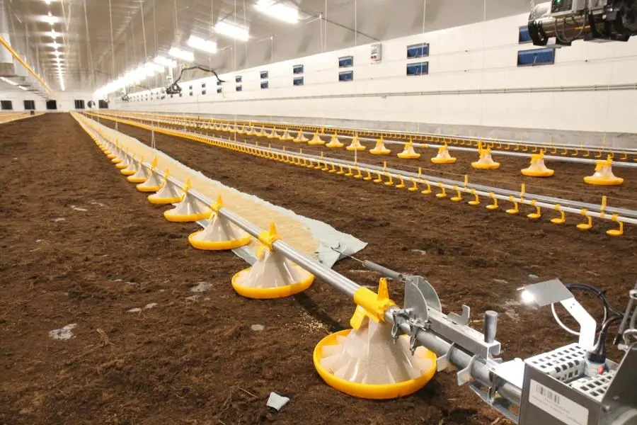 Steel Structure Poultry Feed Mill Plant