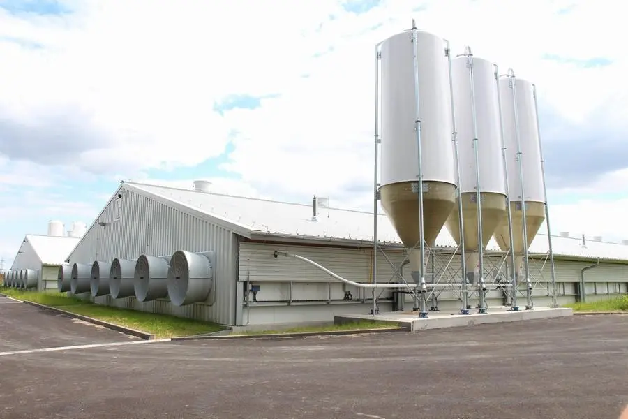 Steel Structure Poultry Feed Mill Plant
